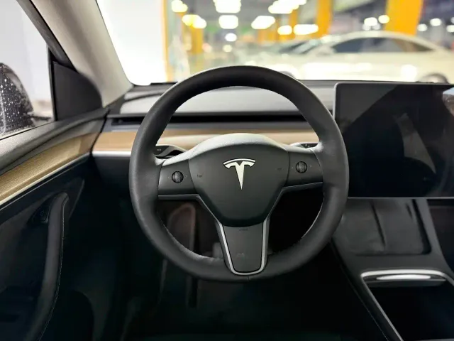 Tesla Model Y — Фото автомобиля 16