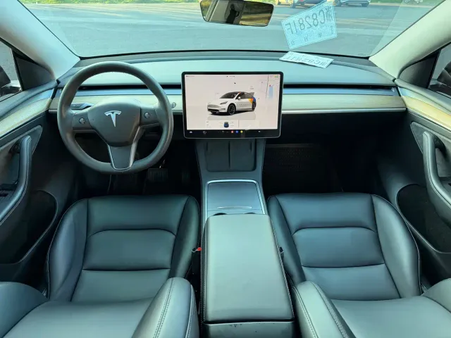 Tesla Model Y — Фото автомобиля 6