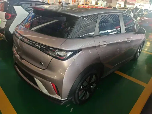 BYD Dolphin — Фото автомобиля 6