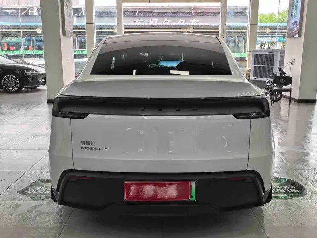 Tesla Model Y — Фото автомобиля 11