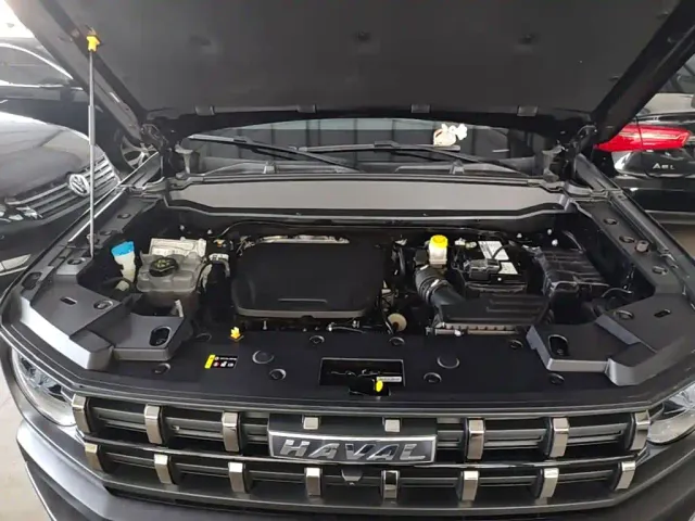 Haval Cool Dog — Фото автомобиля 11