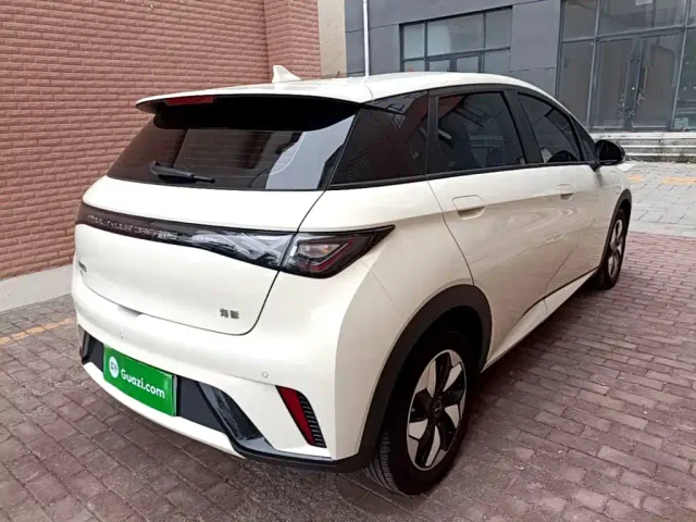 BYD Dolphin — Фото автомобиля 6