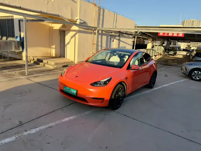 Tesla Model Y — Фото автомобиля 2