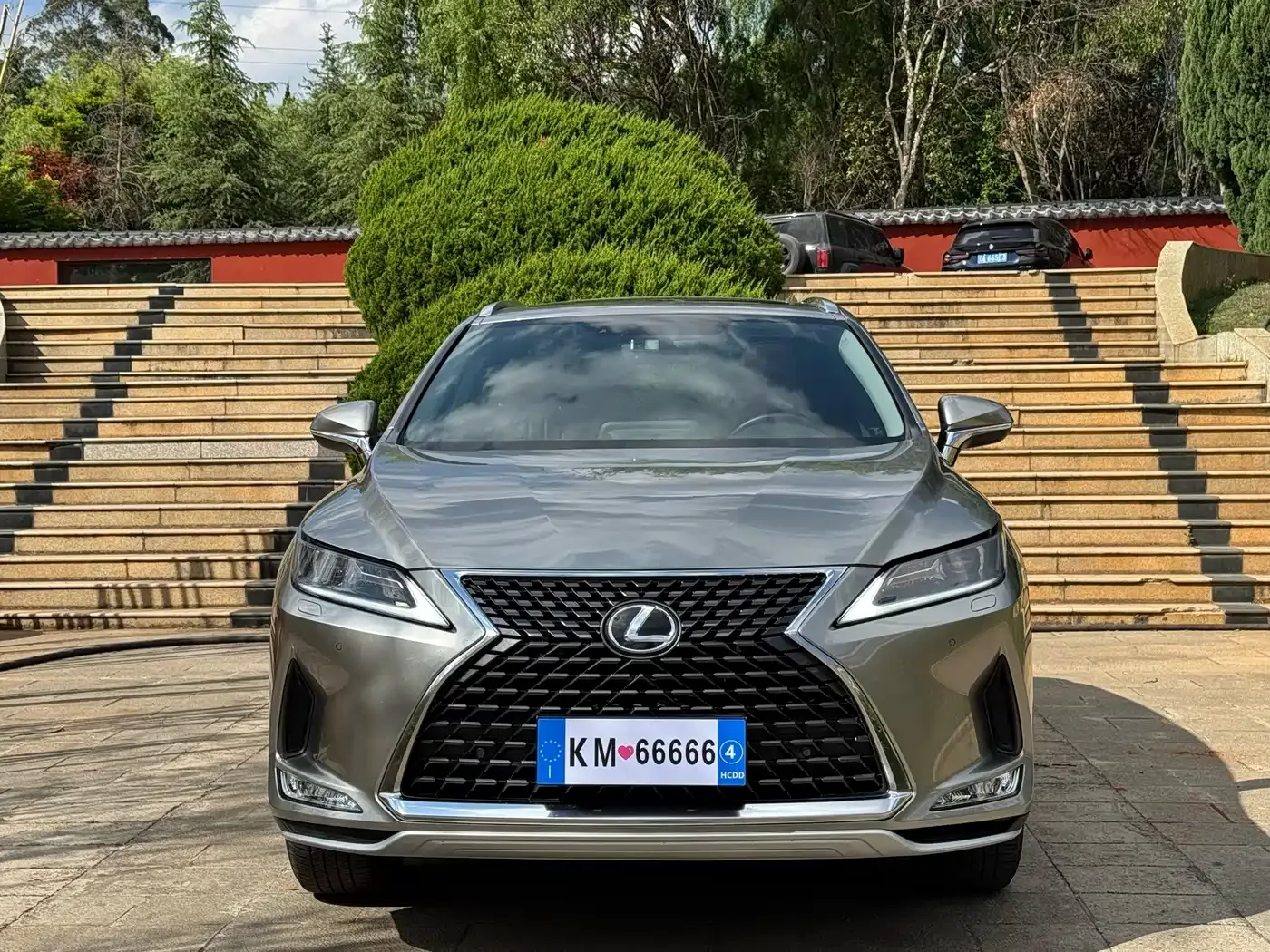 Lexus Lexus RX 2020 300 2WD Elite Edition China VI — Фото автомобиля 2