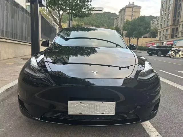 Tesla Model Y — Фото автомобиля 2
