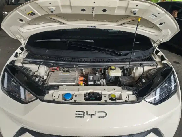 BYD Seagull — Фото автомобиля 19