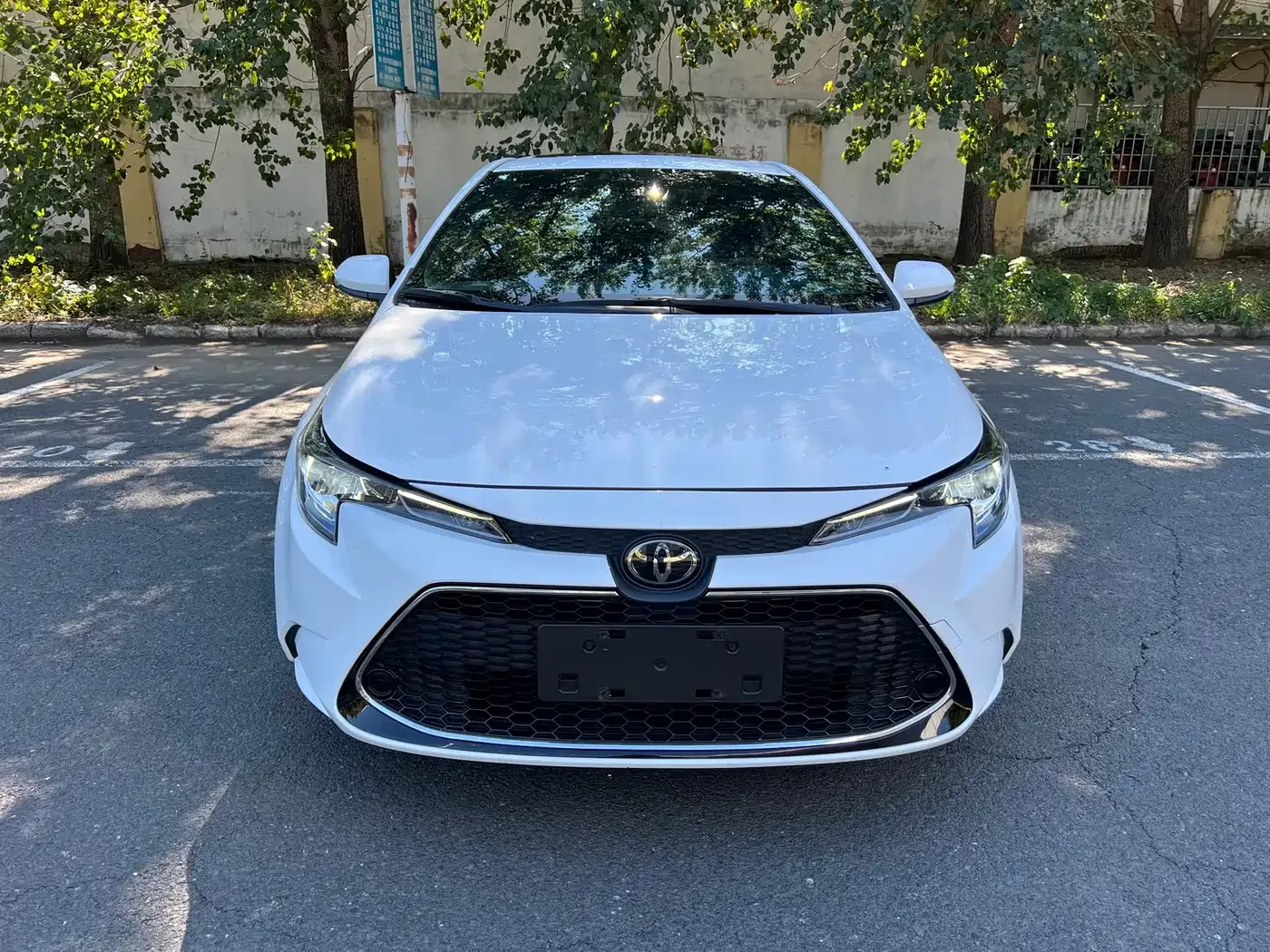 Toyota Levin 2021 185T CVT Luxury Edition — Фото автомобиля 2