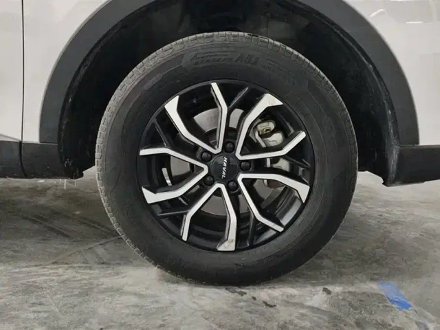 Haval H6 — Фото автомобиля 6