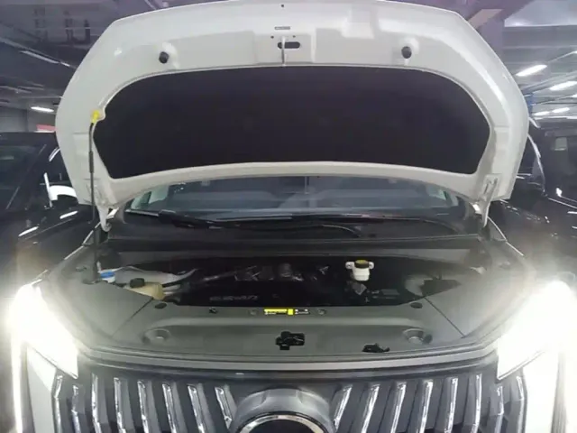 GAC Trumpchi M8 — Фото автомобиля 19