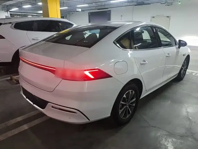 BYD Qin PLUS 2024 Glory Edition DM-i 55KM Leading — Фото автомобиля 6