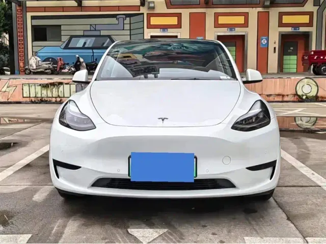 Tesla Model Y — Фото автомобиля 2