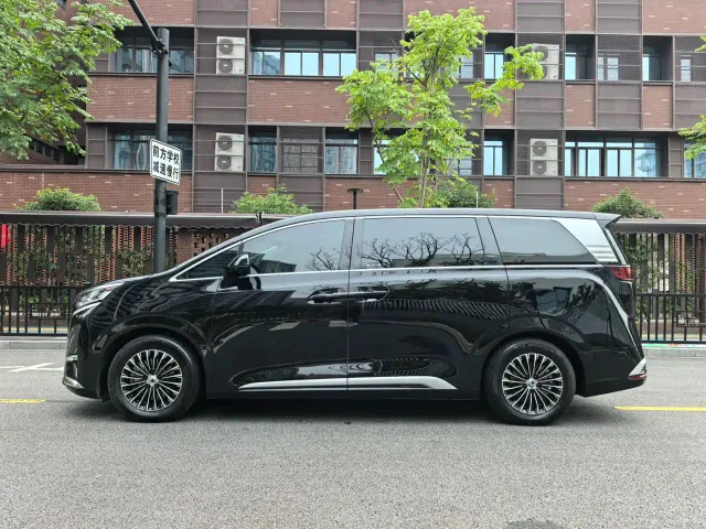 Denza D9 — Фото автомобиля 3