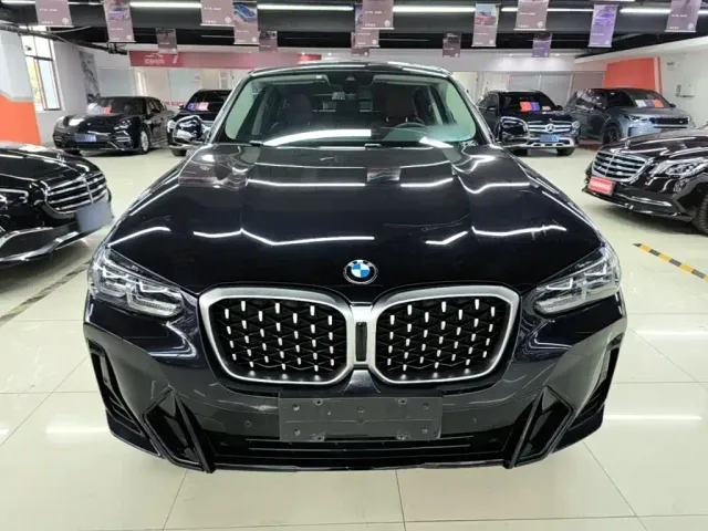BMW X4 — Фото автомобиля 2