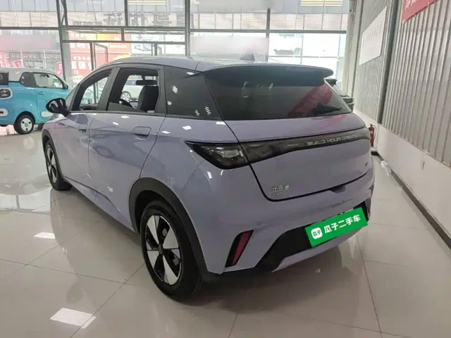 BYD Dolphin — Фото автомобиля 4