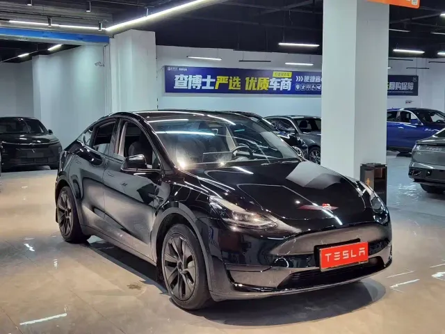 Tesla Model Y — Фото автомобиля 3
