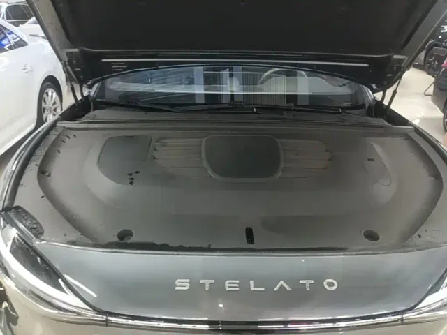 Stelato S9 — Фото автомобиля 19