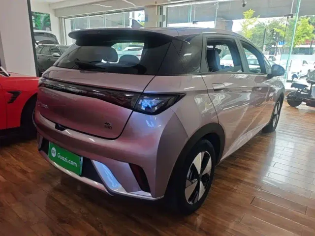 BYD Dolphin — Фото автомобиля 6