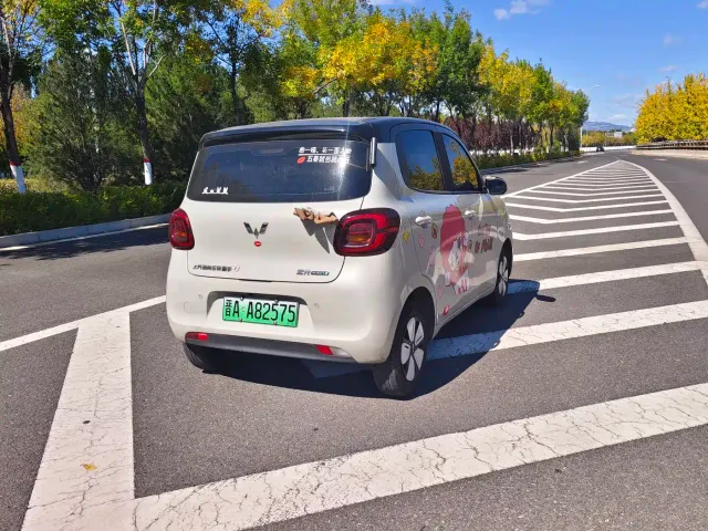 Wuling Hongguang Mini EV — Фото автомобиля 14