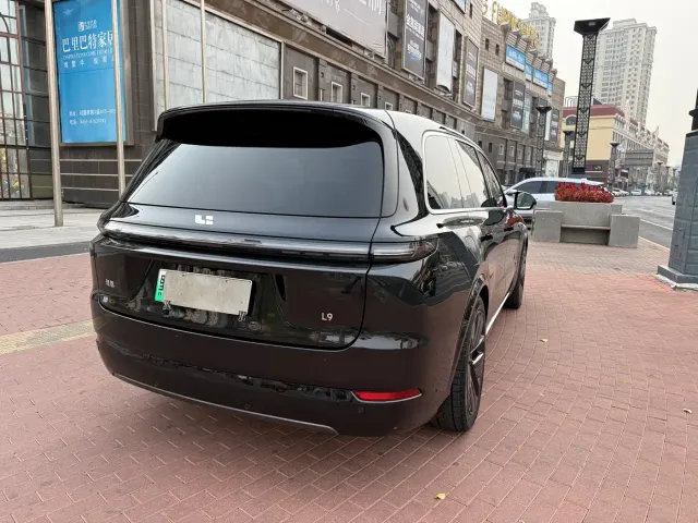 Li Auto L9 — Фото автомобиля 7