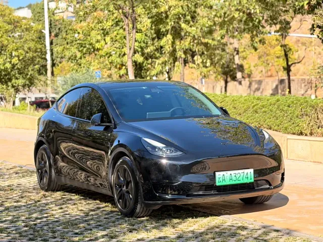 Tesla Model Y — Фото автомобиля 3