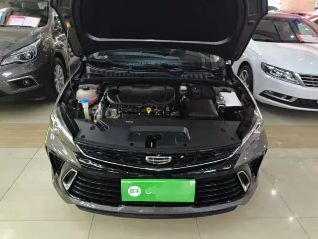 Geely Binrui — Фото автомобиля 19