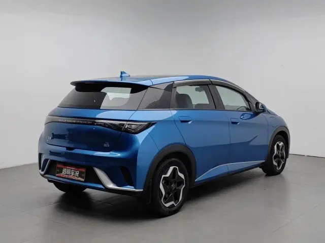 BYD Dolphin — Фото автомобиля 2