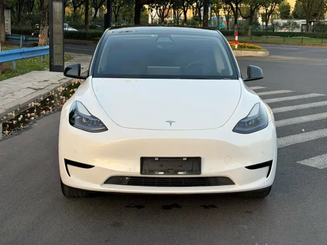 Tesla Model Y — Фото автомобиля 2