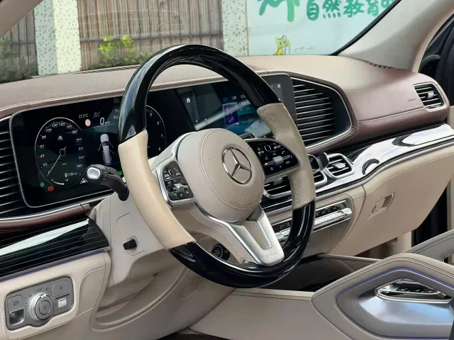 Mercedes-Benz Maybach GLS — Фото автомобиля 14