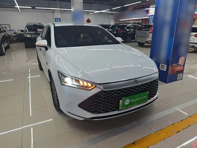 BYD Qin PLUS — Фото автомобиля 3