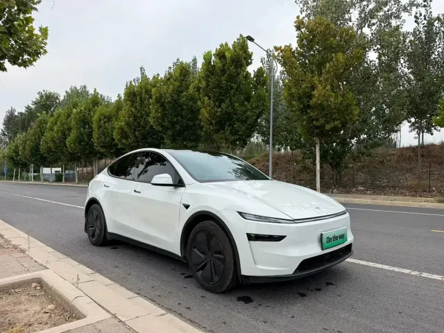 Tesla Model Y — Фото автомобиля 3