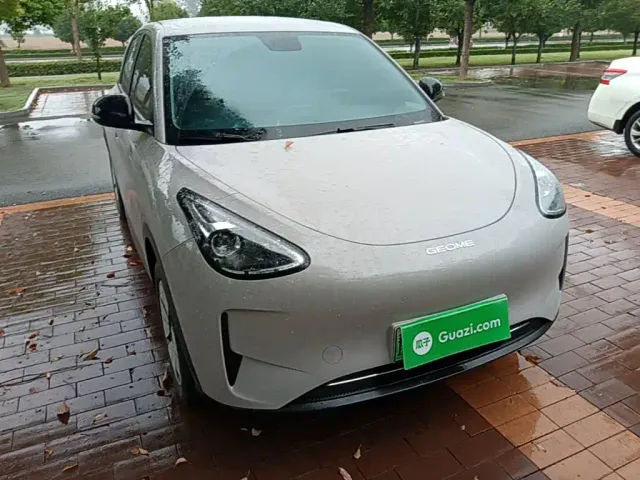Geely Starry Wish — Фото автомобиля 2