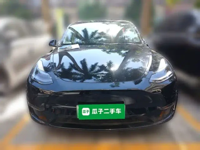 Tesla Model Y — Фото автомобиля 2