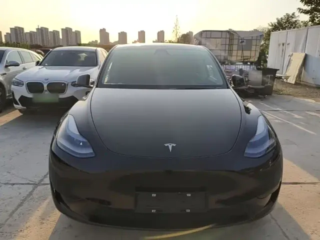 Tesla Model Y — Фото автомобиля 2
