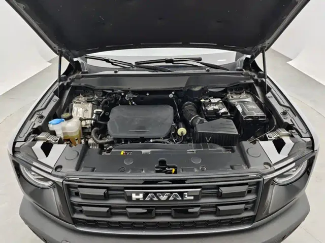 Haval Big Dog — Фото автомобиля 12