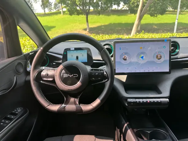 BYD Dolphin — Фото автомобиля 10