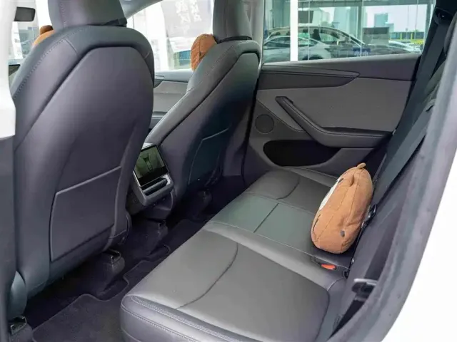 Tesla Model Y — Фото автомобиля 12