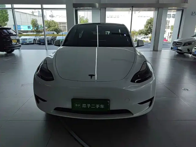 Tesla Model Y — Фото автомобиля 2