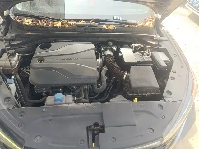 Changan Eado — Фото автомобиля 15