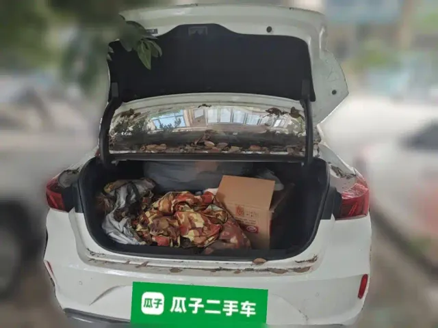 Changan Eado — Фото автомобиля 20