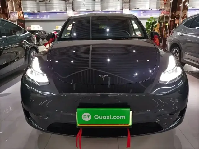 Tesla Model Y — Фото автомобиля 2