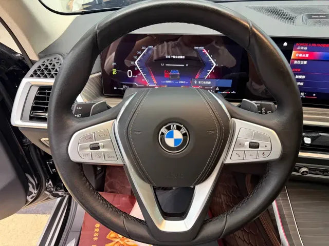 BMW X7 — Фото автомобиля 19