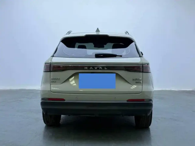 Haval Xiaolong MAX — Фото автомобиля 9