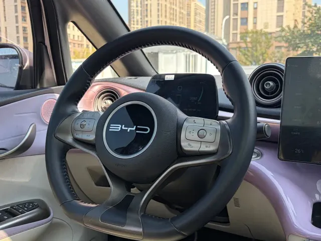 BYD Dolphin — Фото автомобиля 15