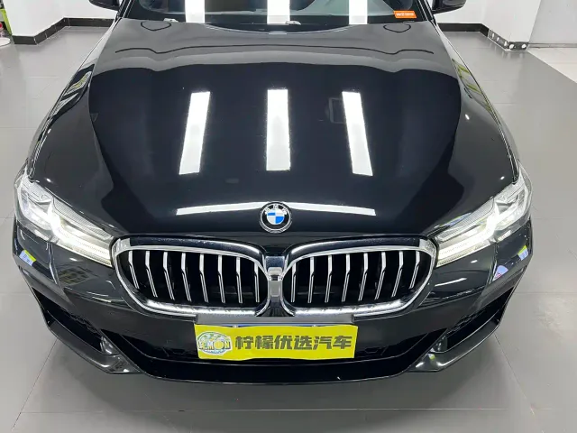 BMW 5 Series — Фото автомобиля 8