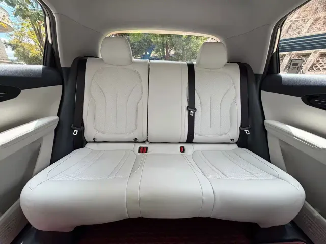 Geely Starry Wish — Фото автомобиля 15