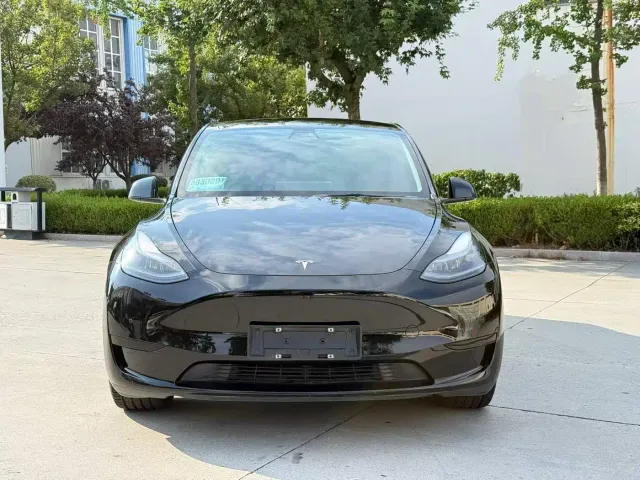 Tesla Model Y — Фото автомобиля 2
