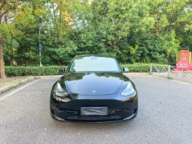 Tesla Model Y — Фото автомобиля 2