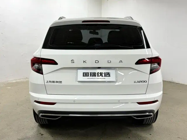 Skoda Karoq — Фото автомобиля 9