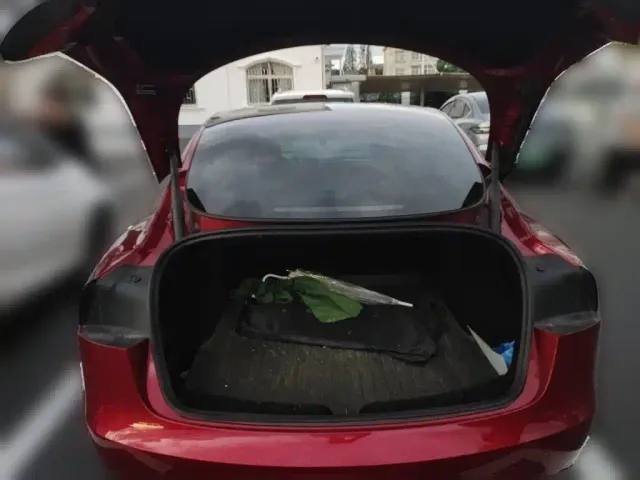 Tesla Model 3 — Фото автомобиля 15