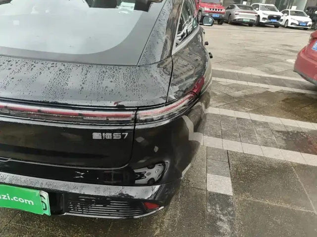Forthing Xinghai S7 — Фото автомобиля 7